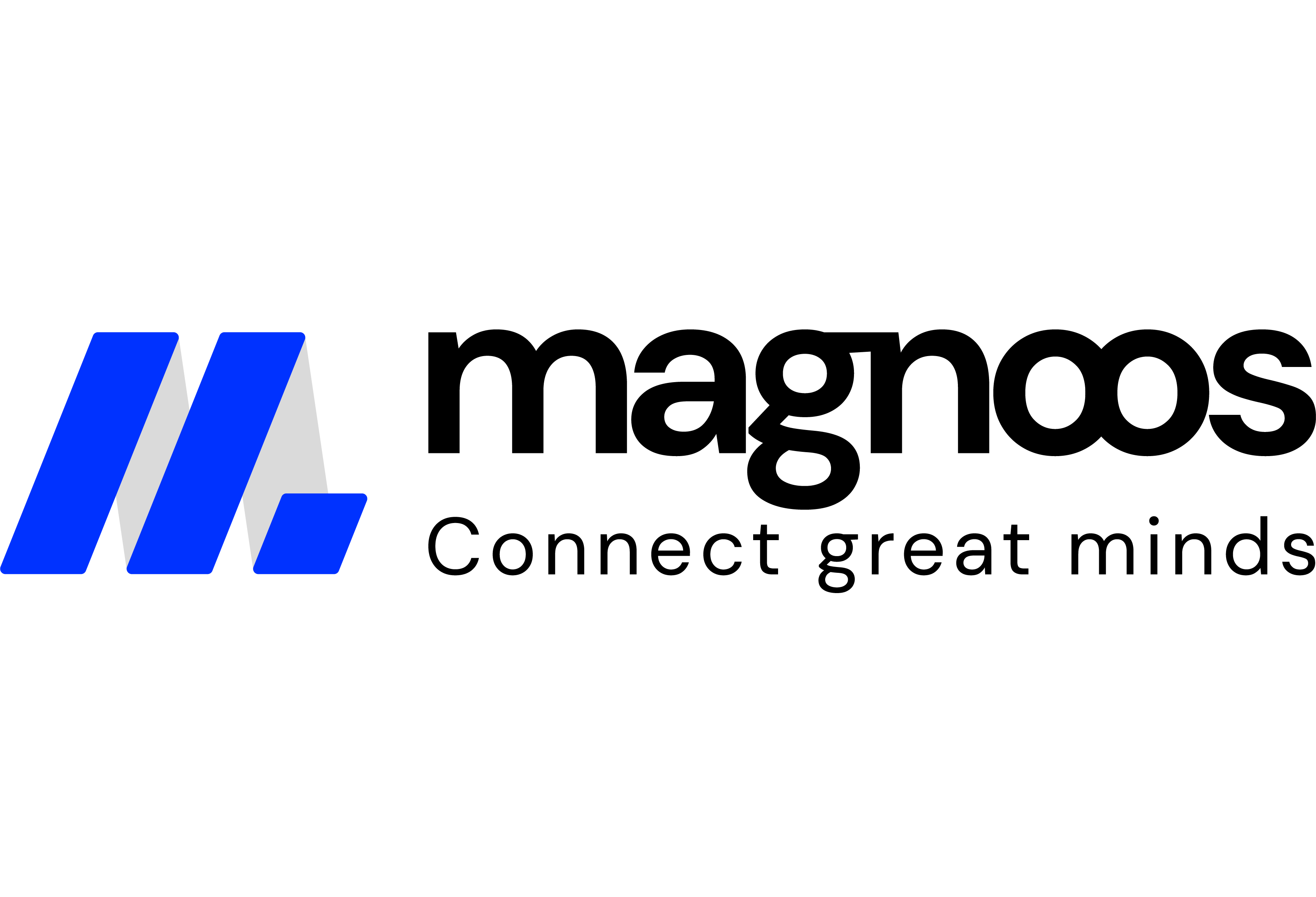 MAGNOOS Information Systems LLC