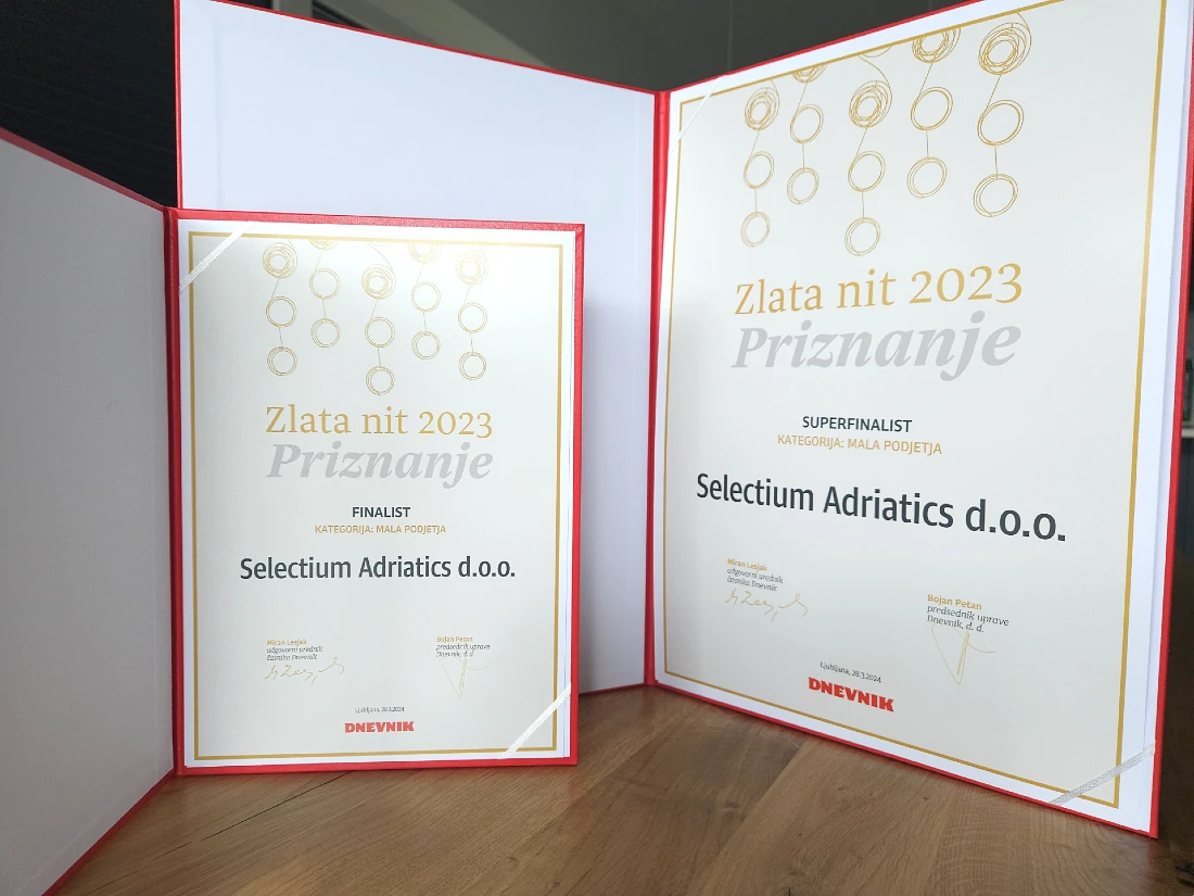 two award certificates seen side by side