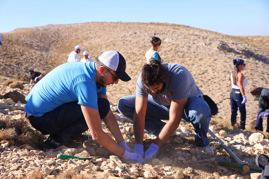 Two people are seen wearing gloves and planting a tree into the earth